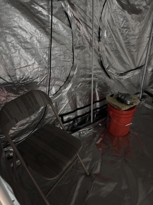 A Mostly Fastbuds Grow. Week 1