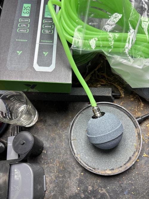 A Mostly Fastbuds Grow. Week 1