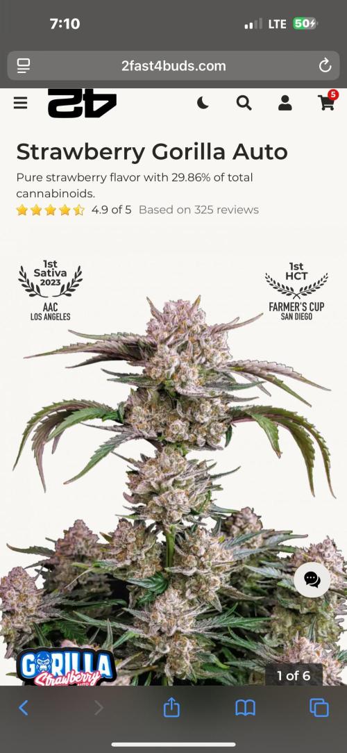 DWC 5 strains 👍🏻. Week 0