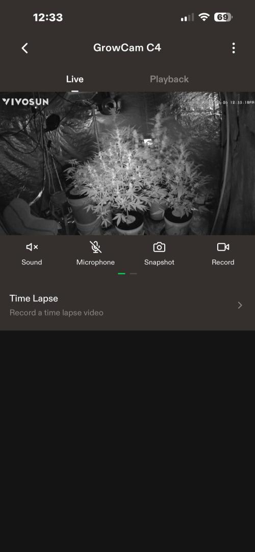 DWC 5 strains 👍🏻. Week 9