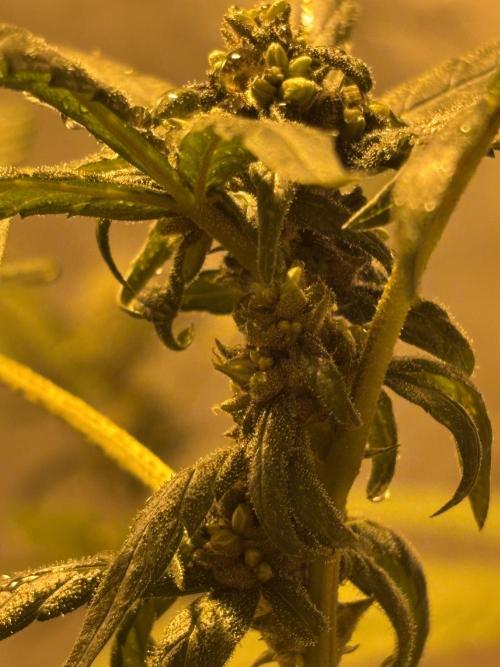 Fem Seed Project 🤙. Week 6