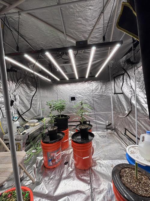 Fem Seed Project 🤙. Week 6