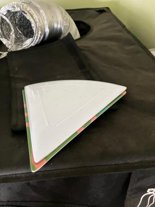 Red Poison Auto. Week 0 - Esta es la forma en que estoy evitando que se expongan a la luz.