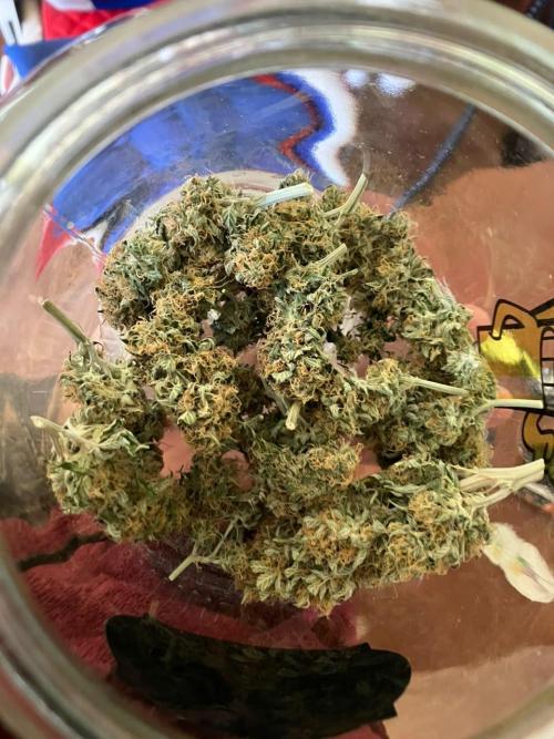 Gorilla Glue. Week 15 - Lo que queda