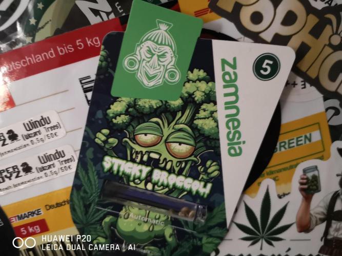 ETERNITY Grow Cup 2026 Bye Zamnesia 💚. Week 0