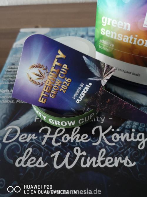 ETERNITY Grow Cup 2026 Bye Zamnesia 💚. Week 0