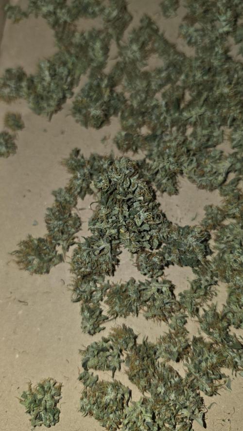 Neville's Haze. Week 18
