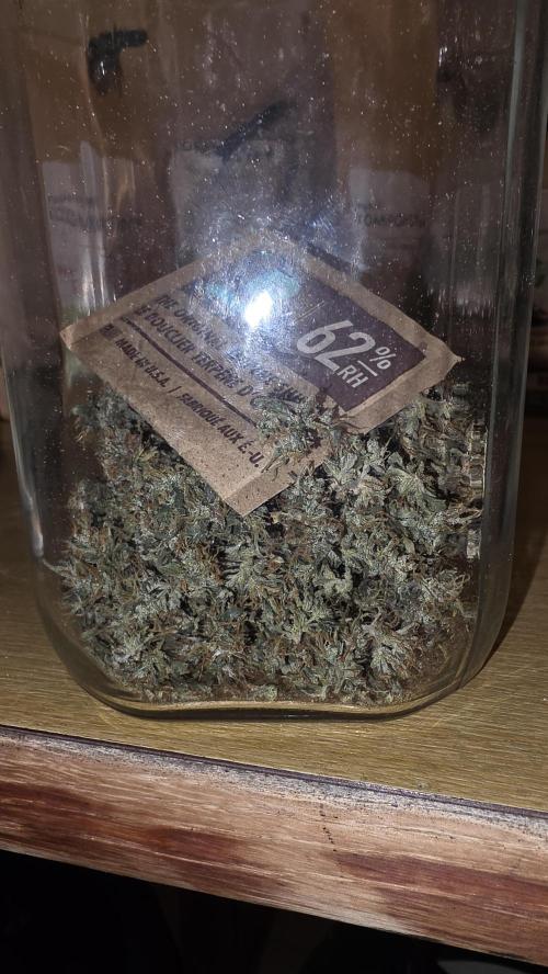 Neville's Haze. Week 18