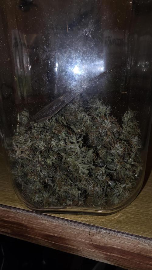 Neville's Haze. Week 18