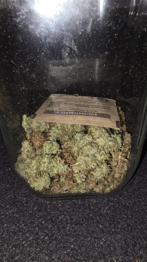 ACE once again. 3x Super Malawi Haze. Week 17 - Dry