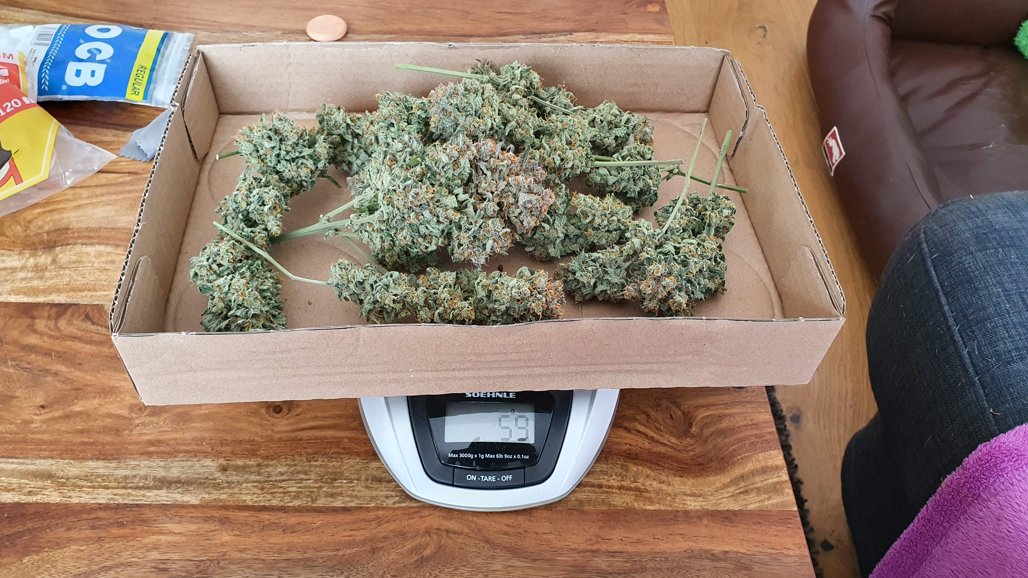 Sweet Seeds Jack 47 XL Auto® grow diary (journal) harvest11 by AUTgrower GrowDiaries