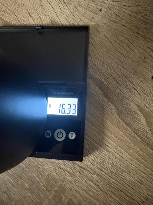 Northern Light Auto. Week 10