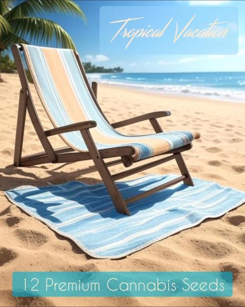 The 7 Club. Week 0 - Tropical Vacation
4-Way Cross, Sativa type 