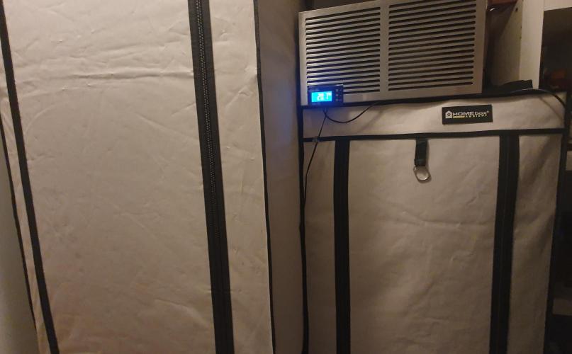 The 7 Club. Week 3 - Some Homebox Ambient tents for staging. SS intake with heater. External monitor.
