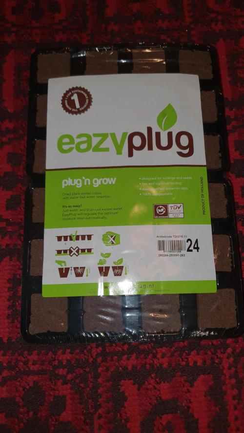 The 7 Club. Week 4 - Super simple. 