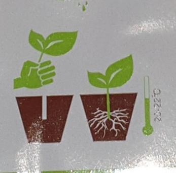 The 7 Club. Week 4 - Just like that. Cube Imbibed, stick cutting inside. Nothing else needed.