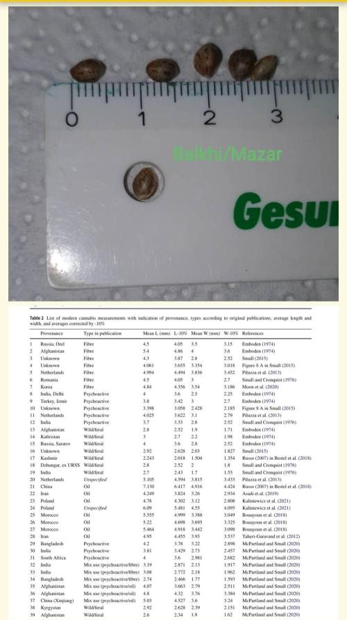 Rosie. Week 0 - Confimed McPartland and Small data.