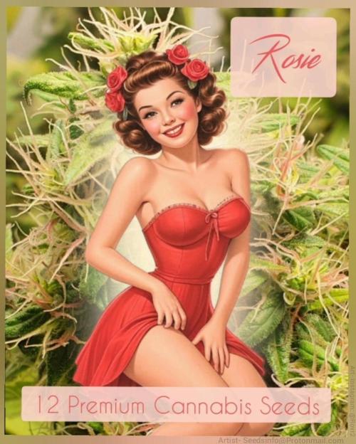 🥀 Rosie 🌹. Week 9