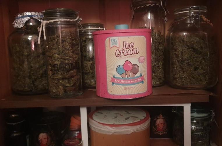 🥀 Rosie 🌹. Week 19 - 🥀