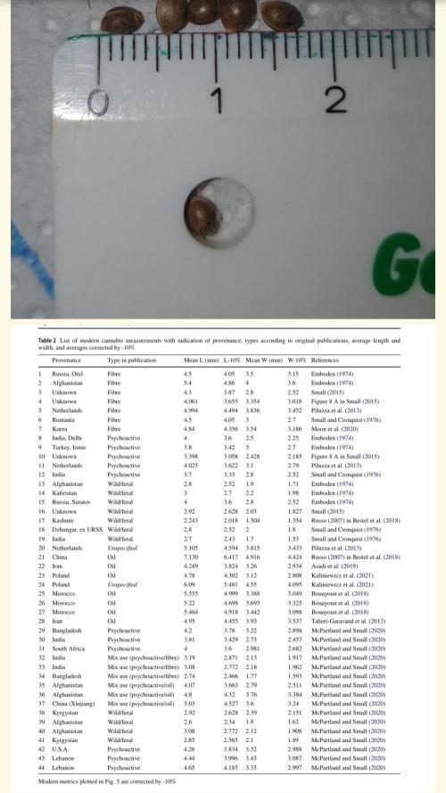 Sacred Sativa of Enlightenment. Week 0