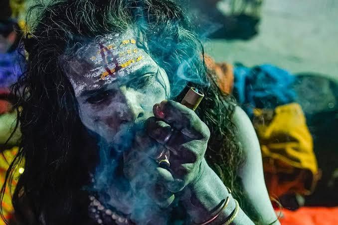 Sativa of Enlightenment. Week 0