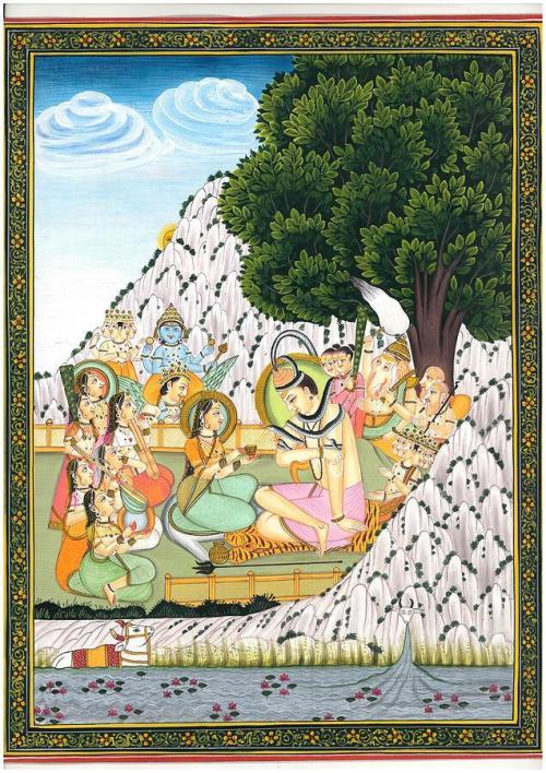 Sativa of Enlightenment. Week 0