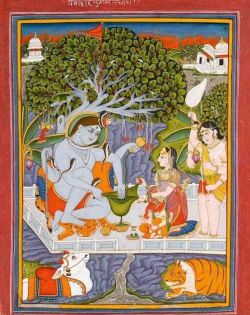 Sativa of Enlightenment. Week 0