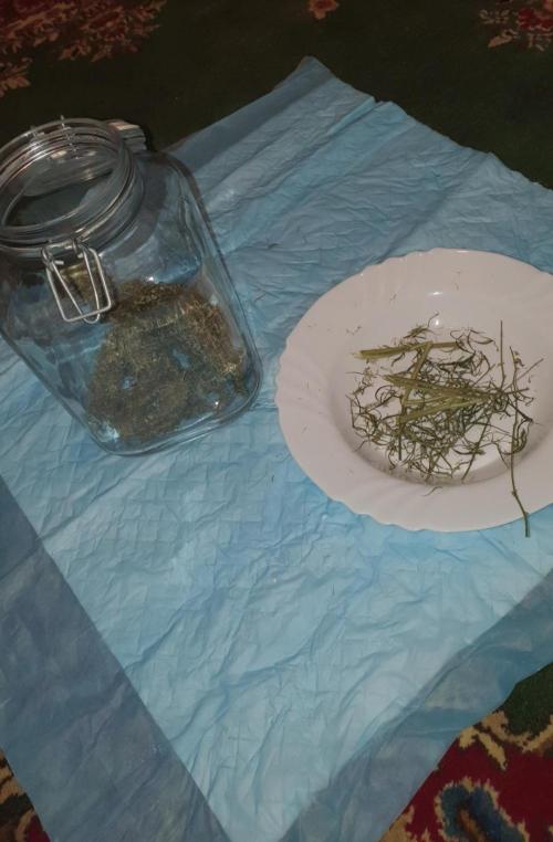 Sativa of Enlightenment. Week 20 - Makes this much trim