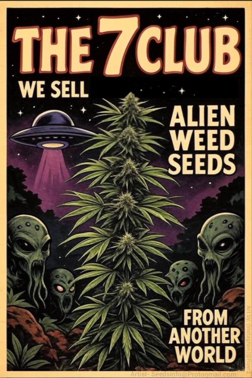 Alien Sparkle. Week 0 - Alien Weed Seeds