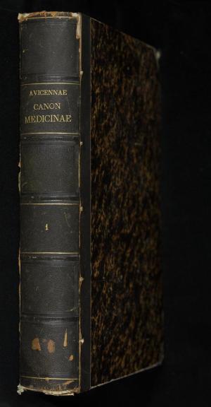 Comment by The_Wanderer photo #1