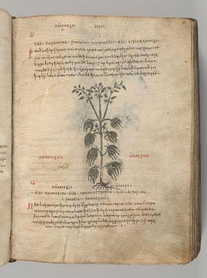 Comment by The_Wanderer photo #4