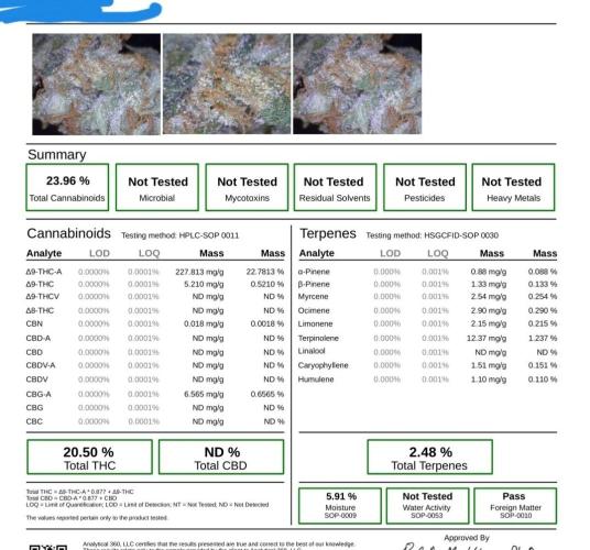 Sativa of Enlightenment. Week 20 - Now that's..  interesting 