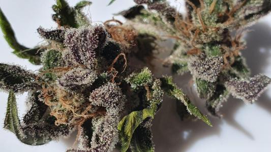 Comment by The_Wanderer photo #1