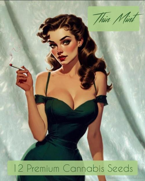 Thin Mint F1-Hybrid. Week 12