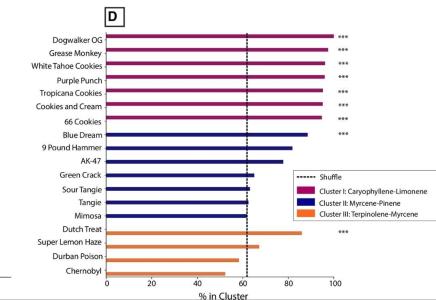 Comment by The_Wanderer photo #1