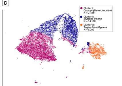 Comment by The_Wanderer photo #2