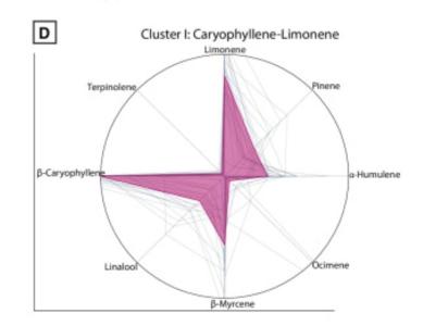 Comment by The_Wanderer photo #3