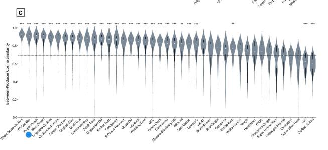 Comment by The_Wanderer photo #1