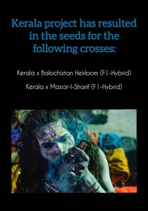 Comment by The_Wanderer photo #1