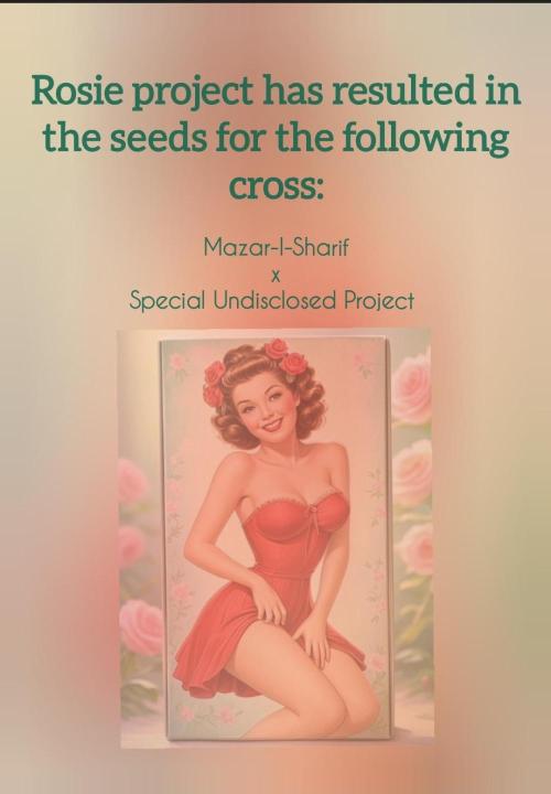 🥀 Rosie 🌹. Week 19