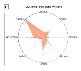 Comment by The_Wanderer photo #1