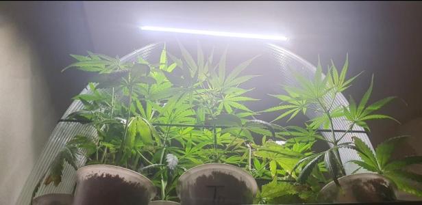 Comment by The_Wanderer photo #1