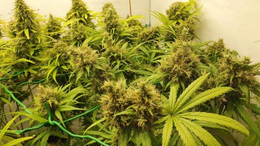 Comment by The_Wanderer photo #2