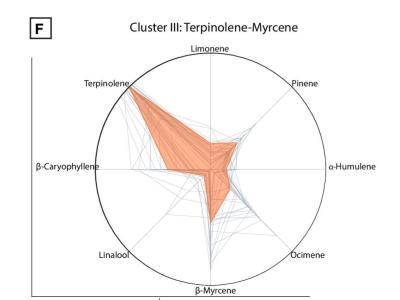 Comment by The_Wanderer photo #3