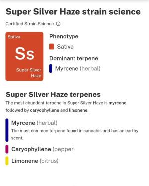 Comment by The_Wanderer photo #1