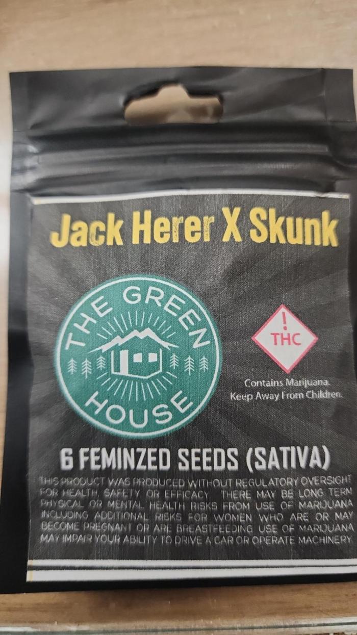 Jack Herer x Skunk. Week 0