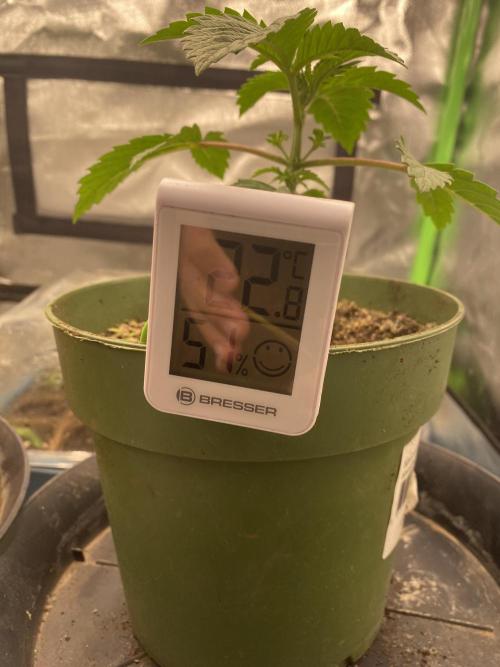 HellfireOG. Week 3
