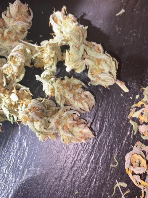 2 fastbuds wedding cheesecake