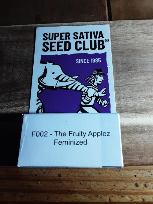 The Fruity Applez. Week 0