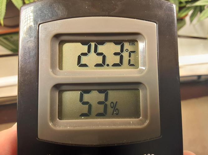 The Fruity Applez. Week 10 - Tag 64 - BT 2